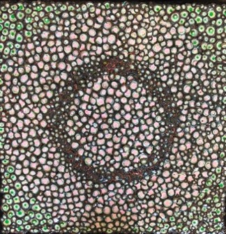 토지 최, Onirique P-2015-3 (몽환)